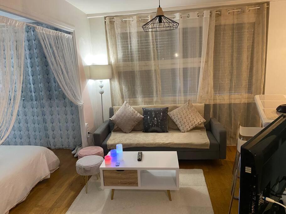Charmant Appartement Villeurbanne Extérieur photo